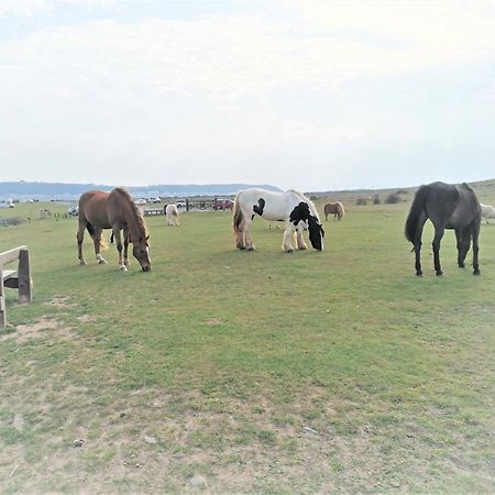 Greenways Valley Holiday Park Грейт Торингтън Екстериор снимка