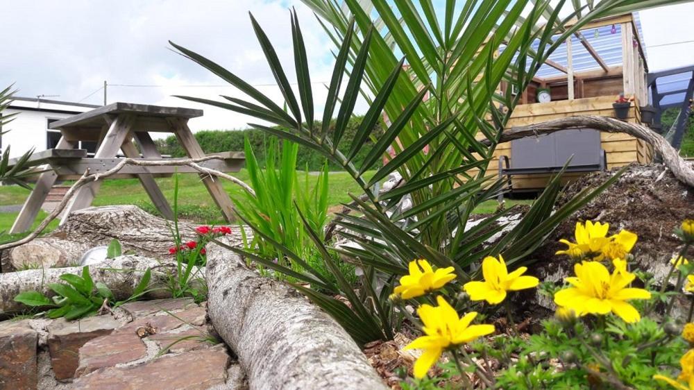 Greenways Valley Holiday Park Грейт Торингтън Екстериор снимка
