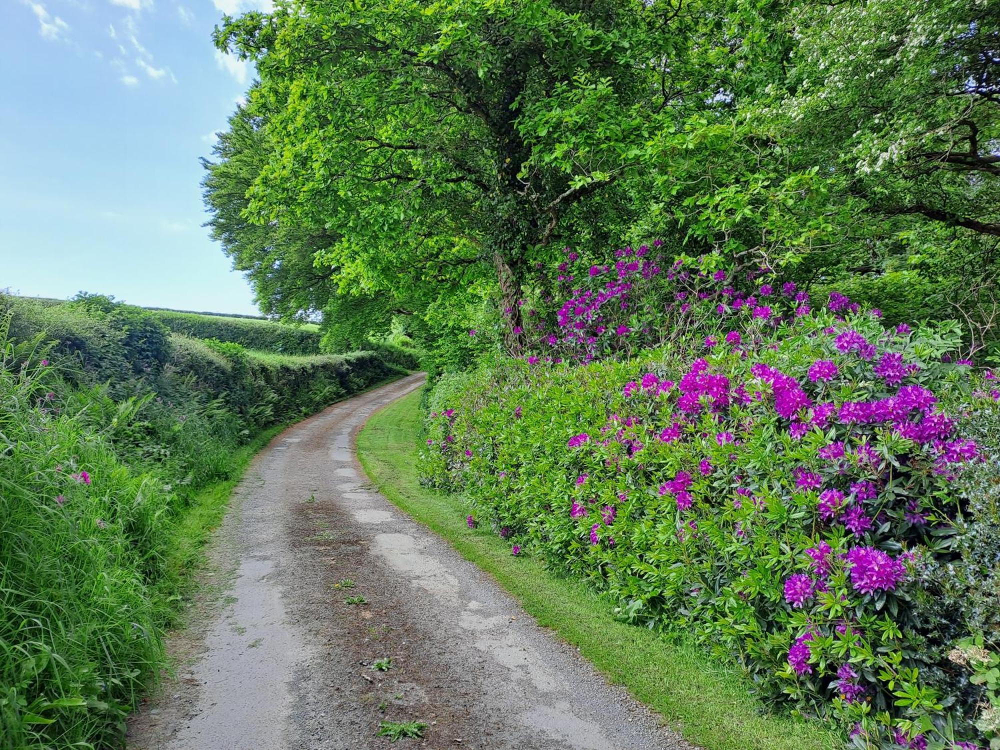 Greenways Valley Holiday Park Грейт Торингтън Екстериор снимка
